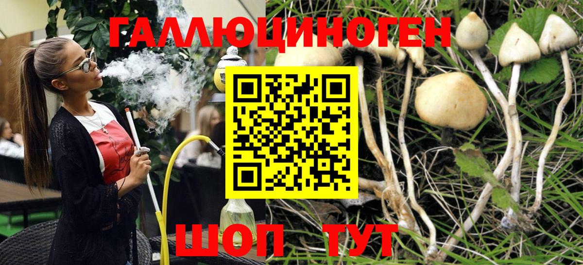 Псилоцибиновые грибы MAGIC MUSHROOMS Шелехов