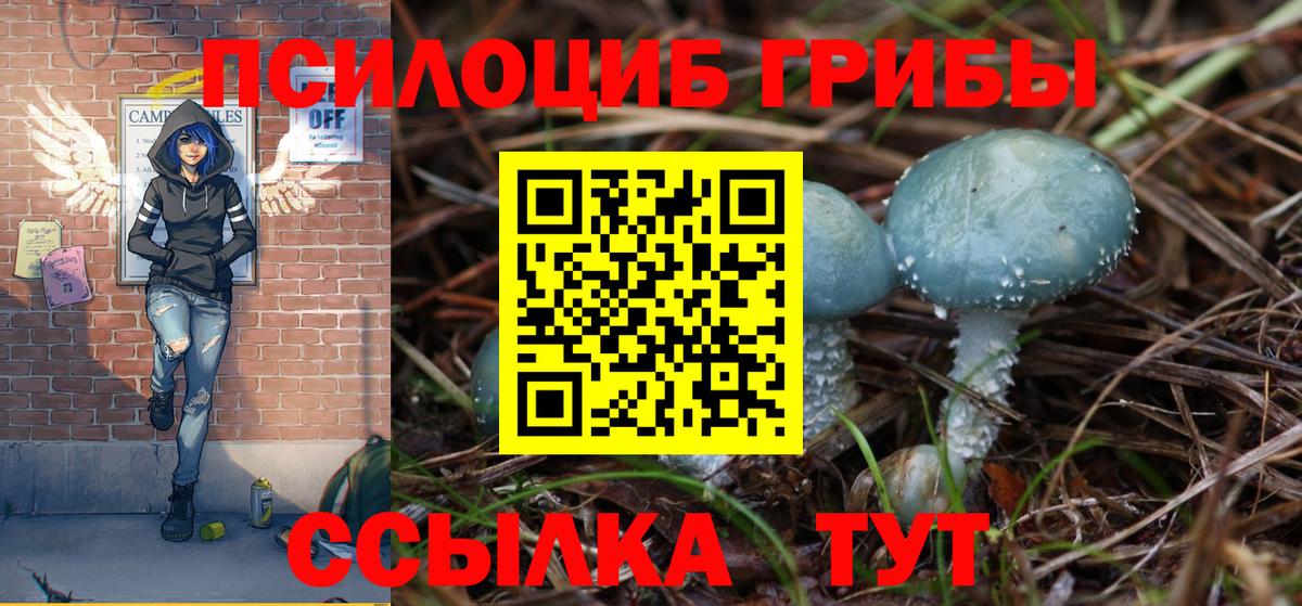 Галлюциногенные грибы MAGIC MUSHROOMS  Вход с VPN  Шелехов 